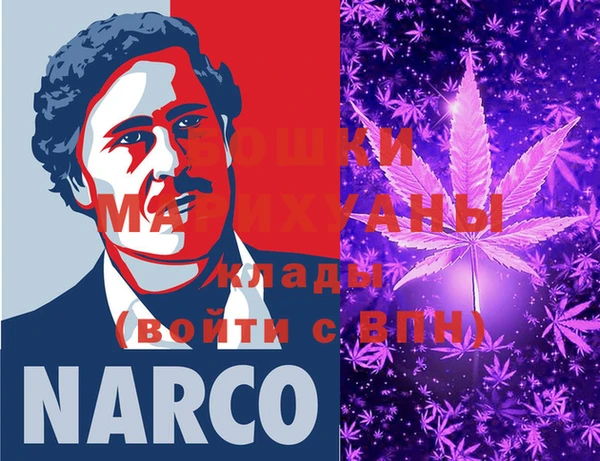 тгк Пестово