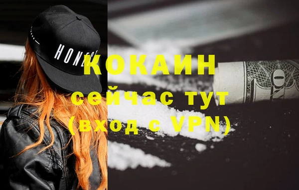 тгк Пестово