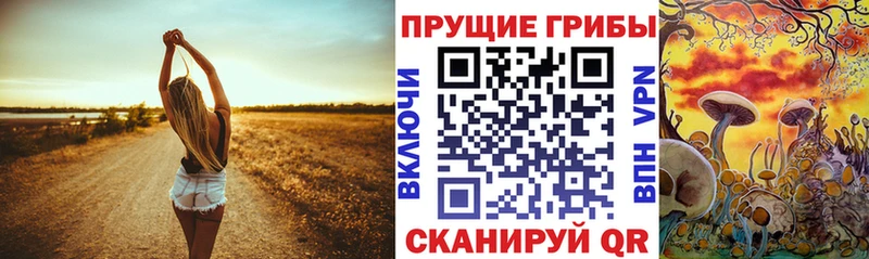 Купить закладки  Гусиноозёрск  Псилоцибиновые грибы ЛСД 